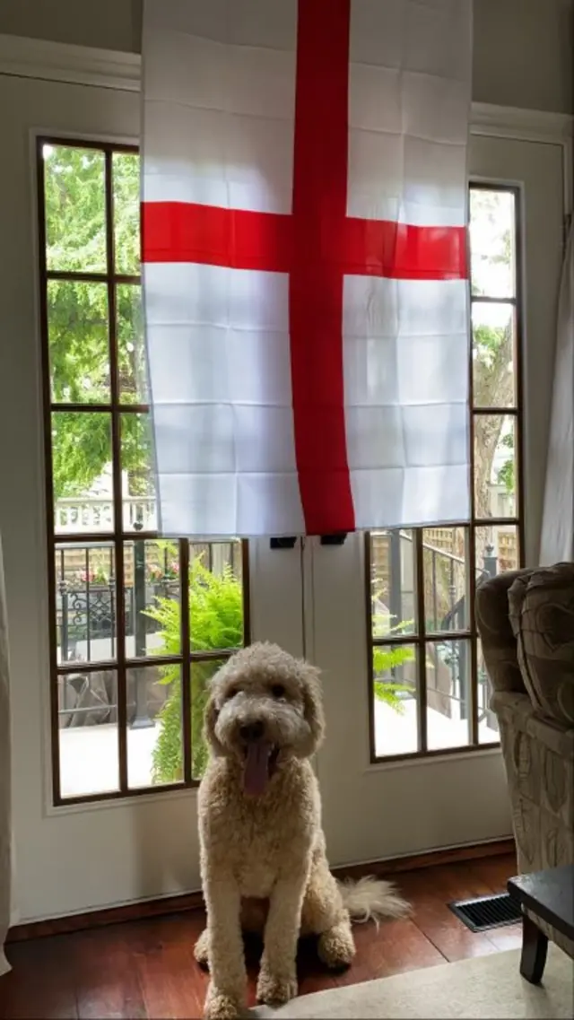 Dog and flag