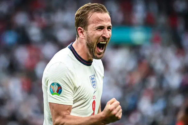 Harry Kane celebrating