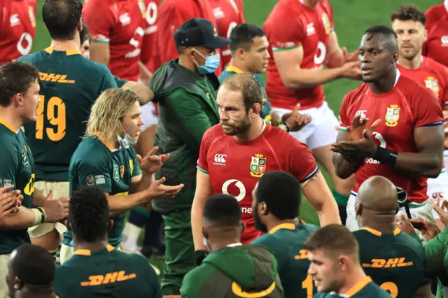 Lions and Springboks