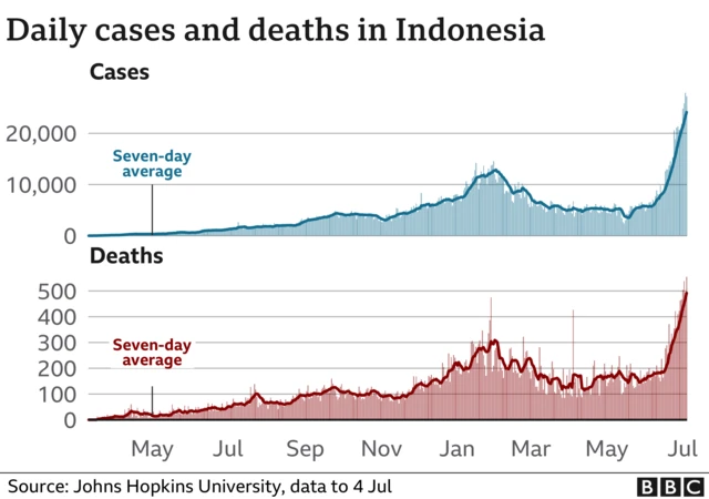 A graph showing rising cases and deaths in Indonesia