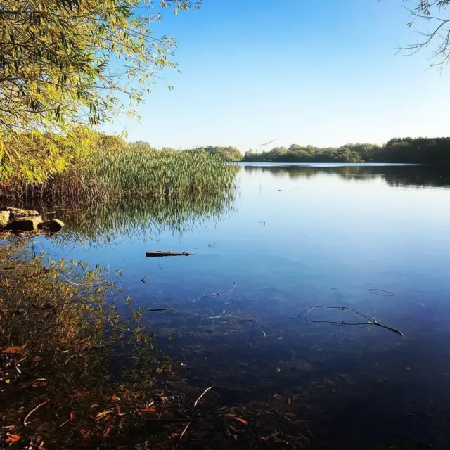 Colwick Country Park