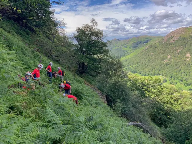 Rescuers reach the man in the waist-high bracken