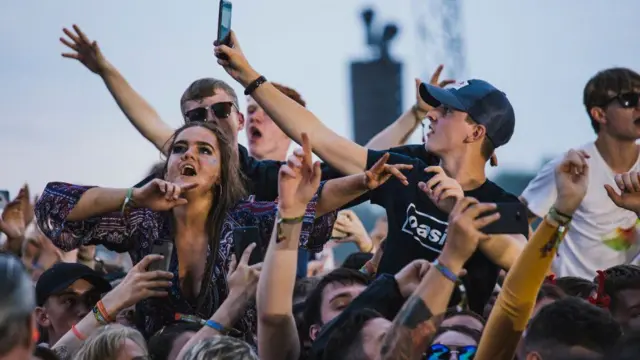 Fans at a music festival