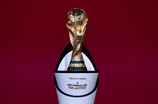 The World Cup trophy