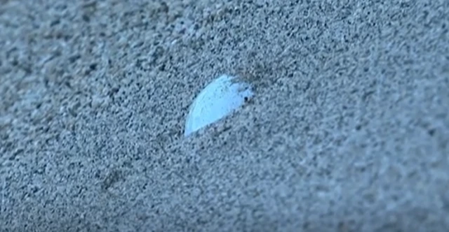 Close-up of Collin Morikawa's ball in a bunker