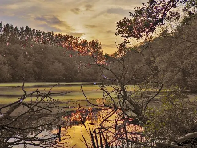 Sunrise over a pool in Lydbury North, Shropshire