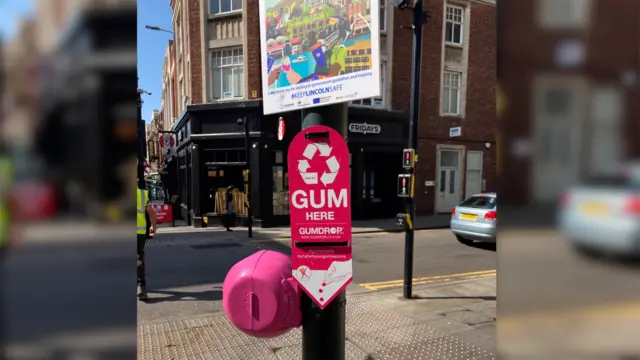 Pink gum bin in Lincoln