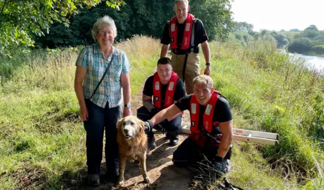 Crew, owner and Harvey