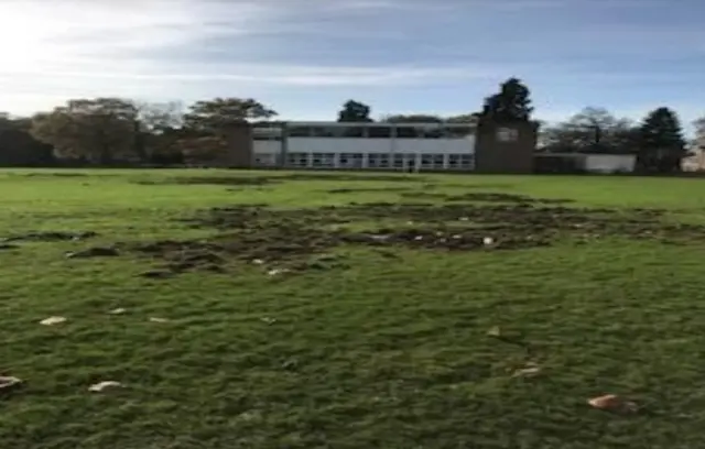 Playing field damaged by badgers