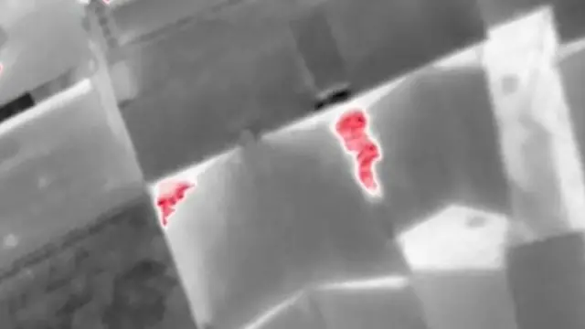 Thermal imaging shot