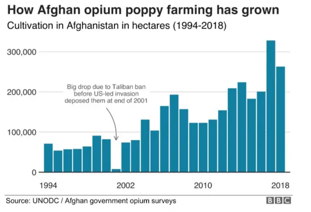 BBC chart showing Afghan opium cultivation by year