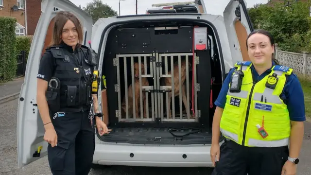 Officers with seized dogs