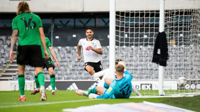 Aleksandar Mitrovic goal