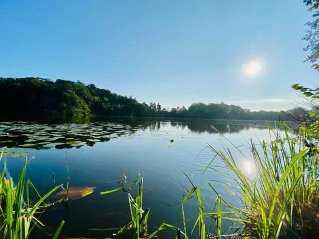 Ellesmere