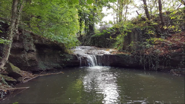 Illey Brook, Halesowen