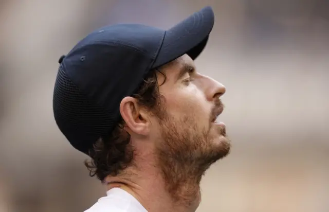 andy murray