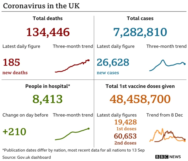 Daily coronavirus numbers