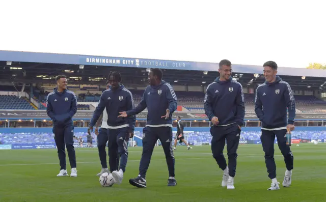 Fulham squad