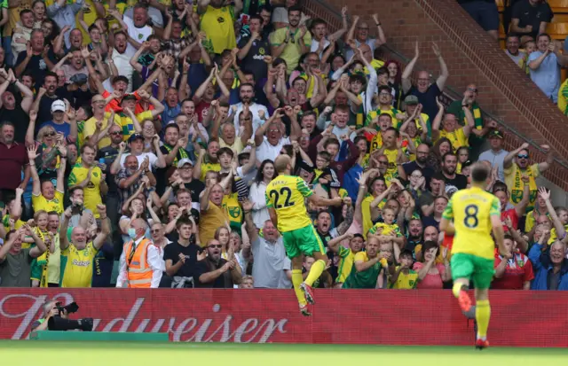 Teemu Pukki celebrates his goal for Norwich against Watford