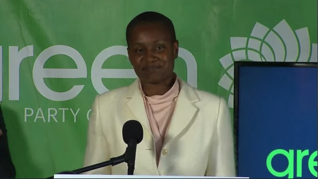 Green Party leader Annamie Paul