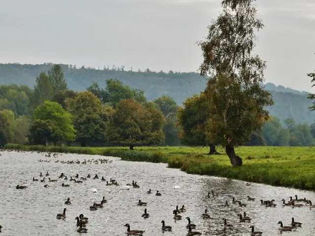 Lydbury North