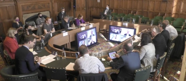 The panel are giving evidence by video link