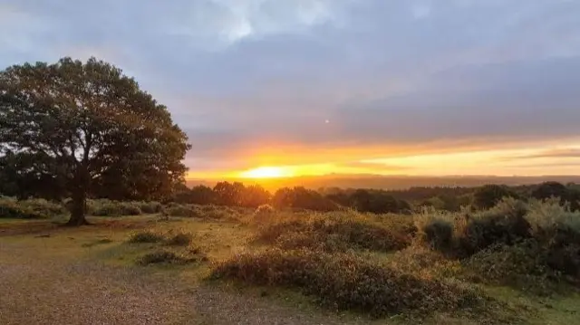 This morning in Kinver, Staffordshire