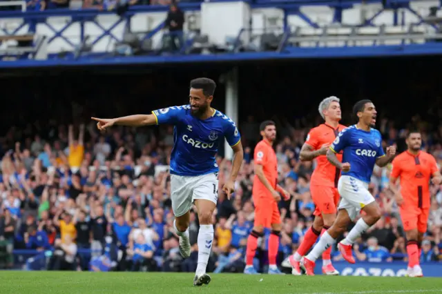 Andros Townsend celebrates his goal for Everton against Norwich