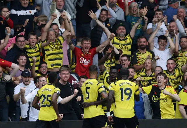 Watford celebrate goal against Newcastle