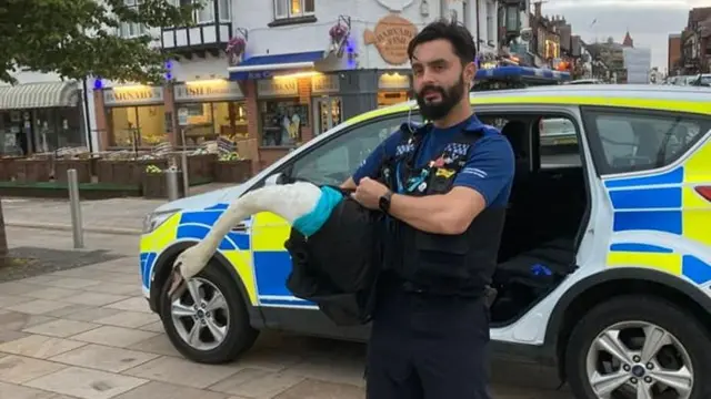 Police officer with swan