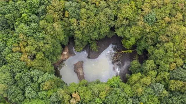 Aerial view of search area