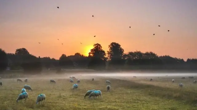 This morning in Long Itchington, Warwickshire