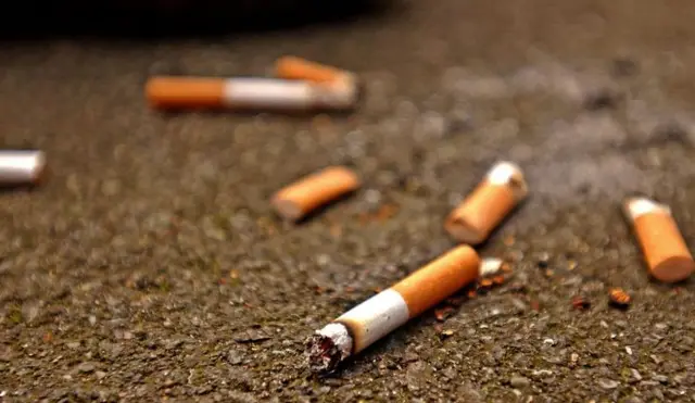 Discarded cigarette butts