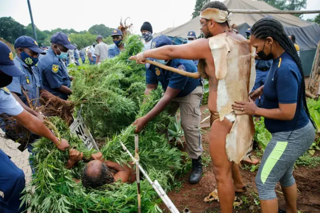 King Khoisan South Africa (bottom L) holds on to a marijuana plant as South African Police Services (SAPS) members drags him as they try to confiscate the plants during a raid at the Union Buildings in Pretoria on January 12, 2022