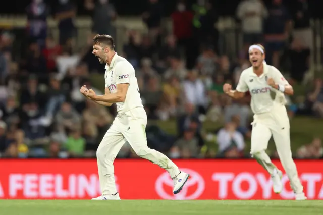 Mark Wood celebrates wicket