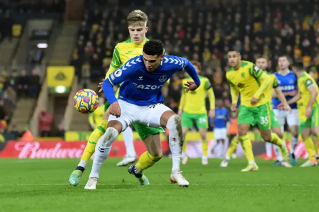 Norwich v Everton