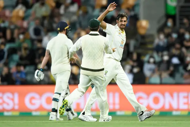 Mitchelel Starc celebrates