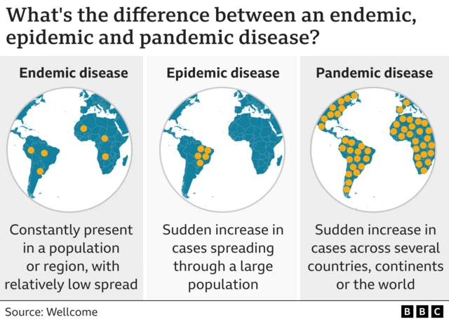 A graphic showing an endemic, epidemic and pandemic