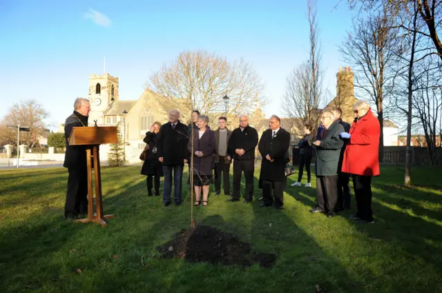 The memorial tree at Minster Park, Sunderland