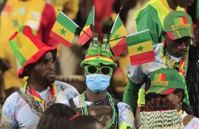 Senegal fans at the Africa Cup of Nations