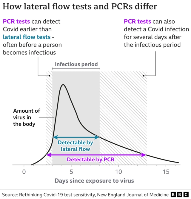 Graphic showing difference between lateral flow tests and PCR tests