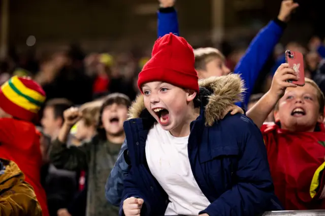 Wales fan