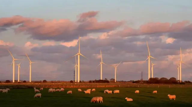 Wind farm