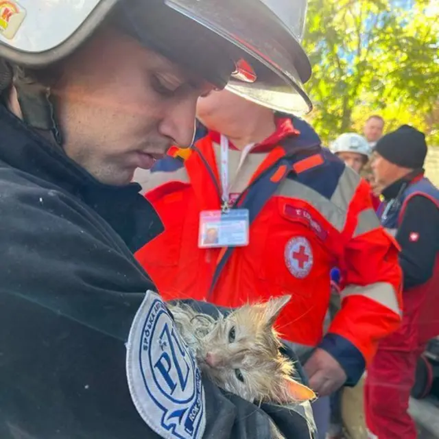 Cat in firefighters arms