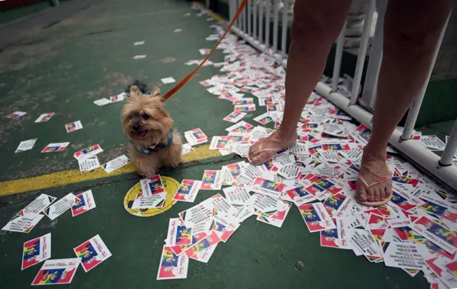 A dog at a polling station in Brazil