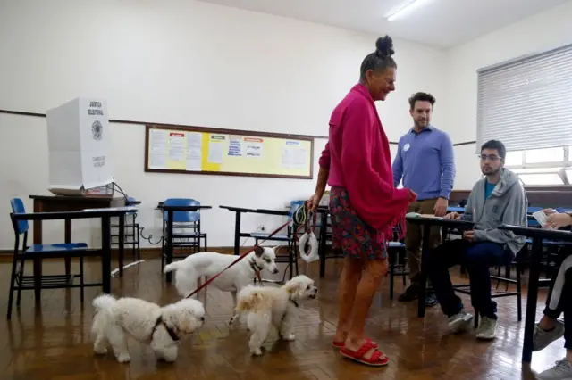 Dogs at a polling station in Brazil