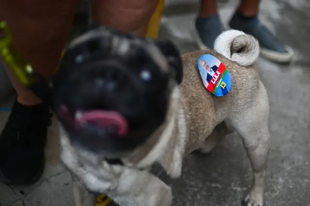 A dog wearing a sticker depicting Brazilian former President (2003-2010) and candidate for the leftist Workers Party (PT) Luiz Inacio Lula da Silva, enters a polling station during general elections in Rio de Janeiro, Brazil, on October 2, 2022.