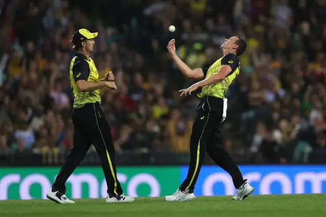 Josh Hazlewood celebrates dismissing Glenn Phillips