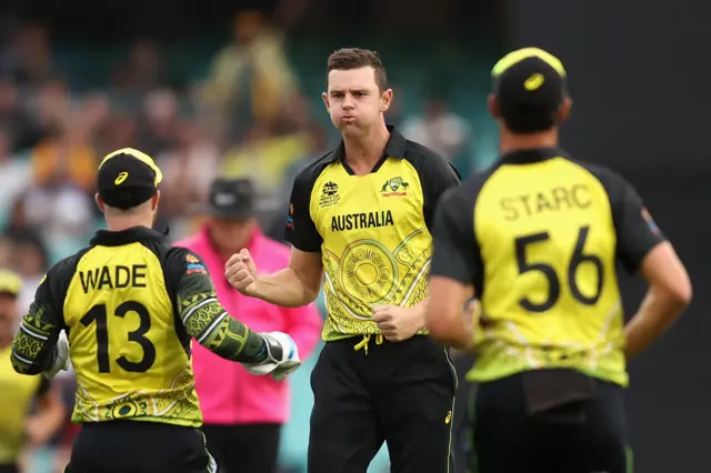 Australia's Josh Hazlewood celebrates wicket v New Zealand at T20 World Cup