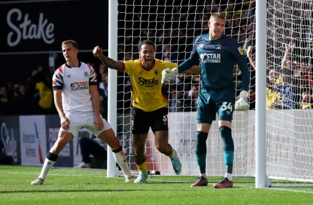 Watford celebrate goal